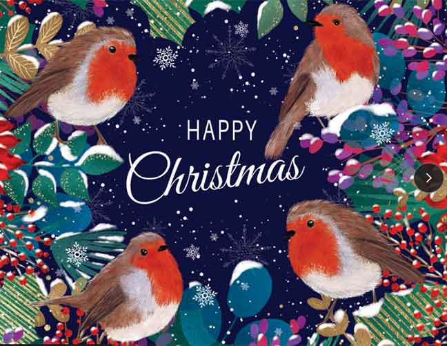 Four robins sitting on a tree with snowy leaves