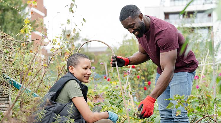 Woman and man gardening in urban garden