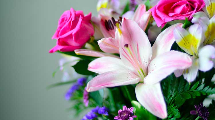 Bouquet of pink roses and lilies