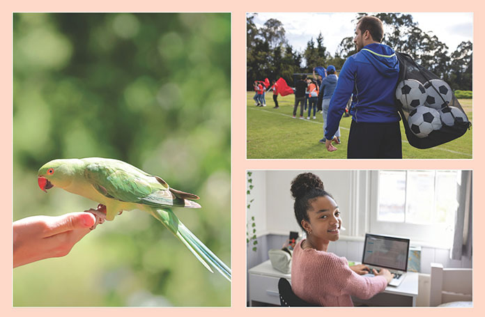 A parakeet; a man holding a bag of footballs at a pitch; a girl sitting at her desk in her bedroom