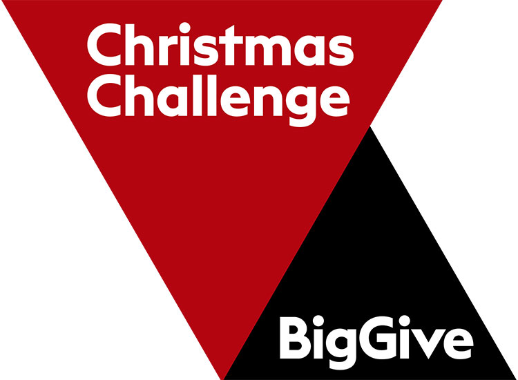 Christmas challenge - Big Give