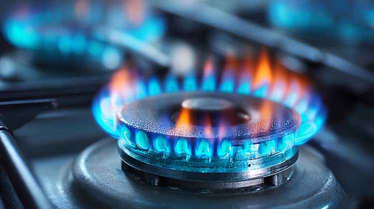Gas hob burner